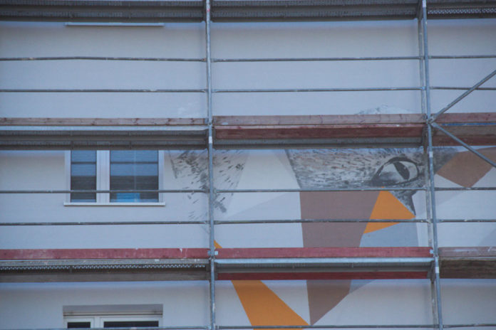 Pojawił się kolejny mural na Lisiej ( ZDJĘCIA) Zielona Góra