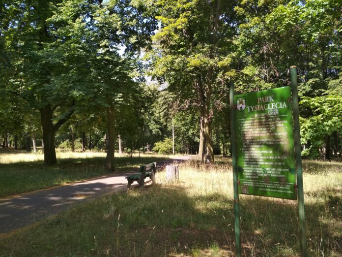 Remont parku Tysiąclecia w Zielonej Górze
